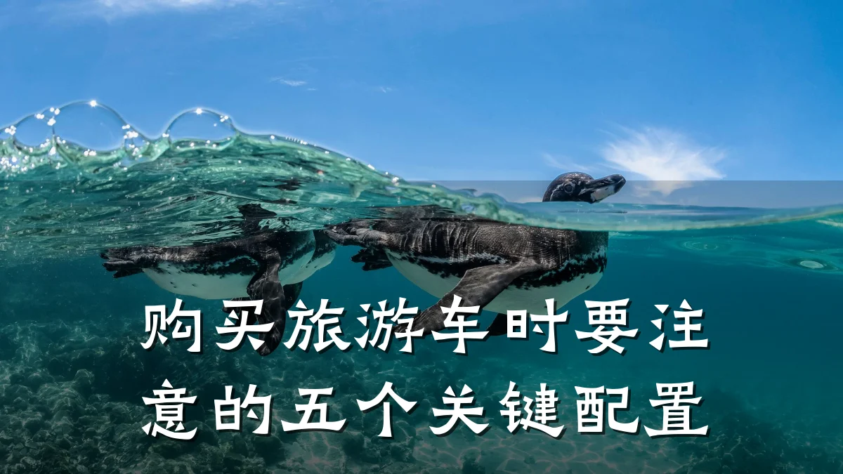 购买旅游车时要注意的五个关键配置