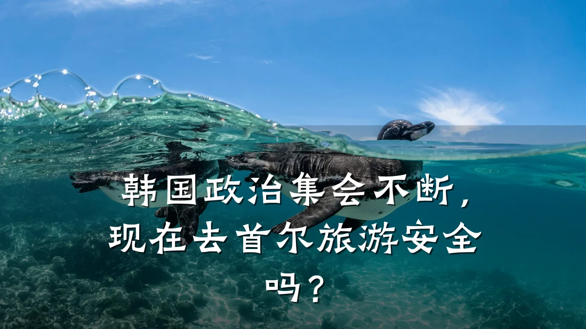 韩国政治集会不断,现在去首尔旅游安全吗?
