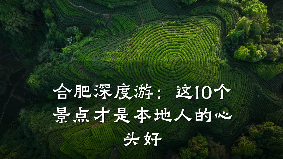 合肥深度游:这10个景点才是本地人的心头好