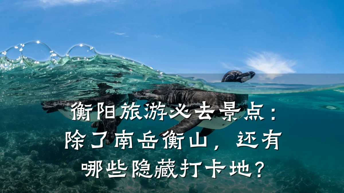 衡阳旅游必去景点:除了南岳衡山,还有哪些隐藏打卡地?