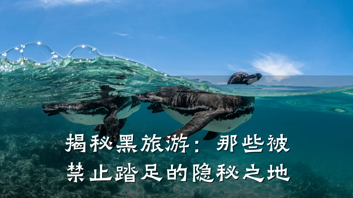 揭秘黑旅游:那些被禁止踏足的隐秘之地