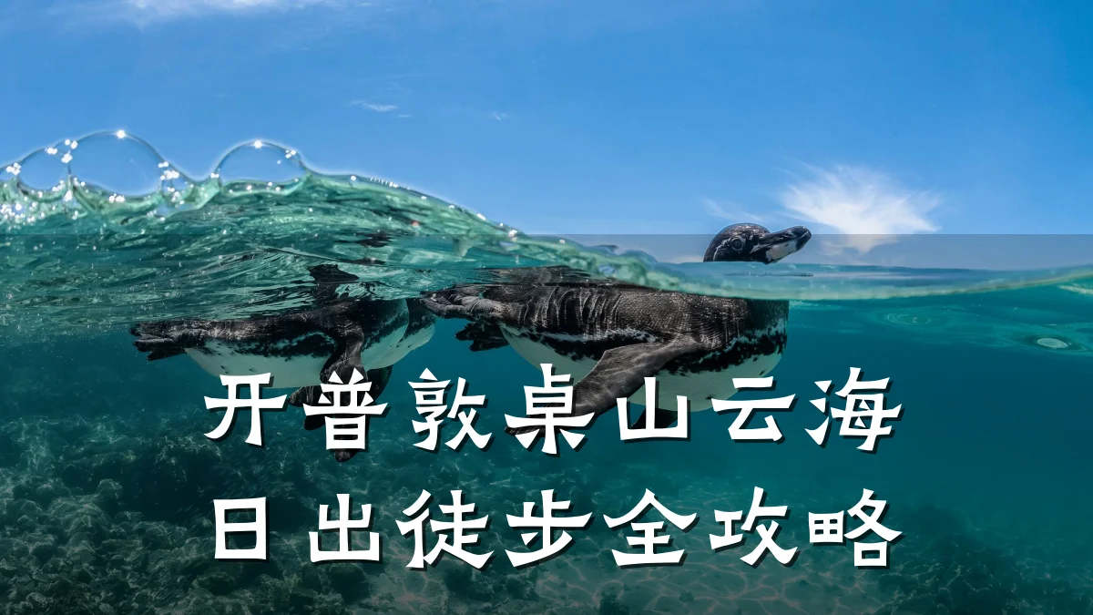 开普敦桌山云海日出徒步全攻略
