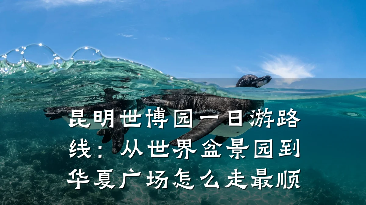 昆明世博园一日游路线：从世界盆景园到华夏广场怎么走最顺