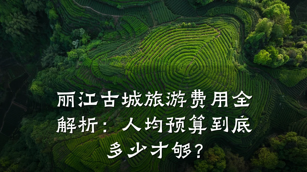 丽江古城旅游费用全解析:人均预算到底多少才够?