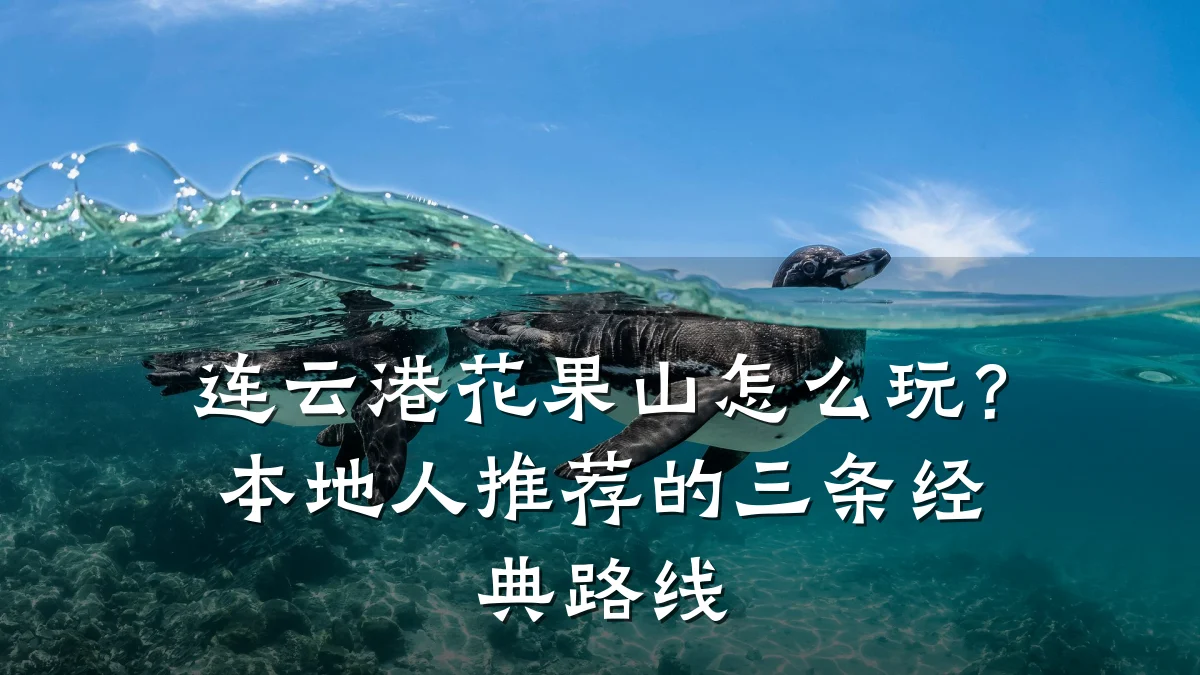 连云港花果山怎么玩？本地人推荐的三条经典路线