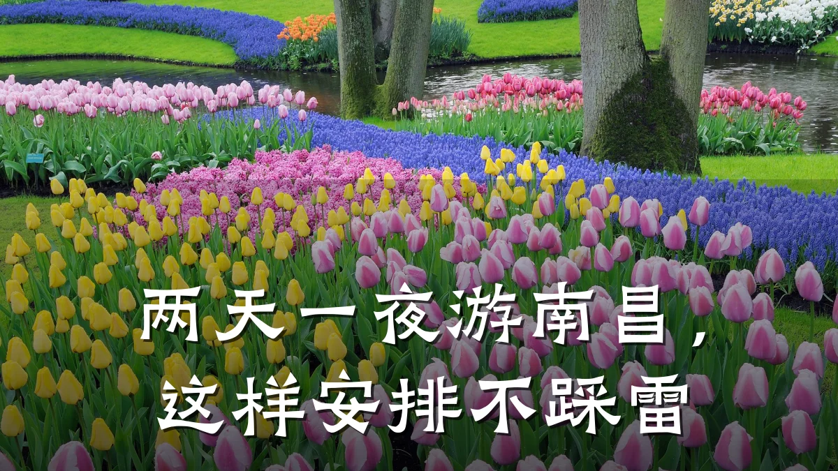 两天一夜游南昌,这样安排不踩雷