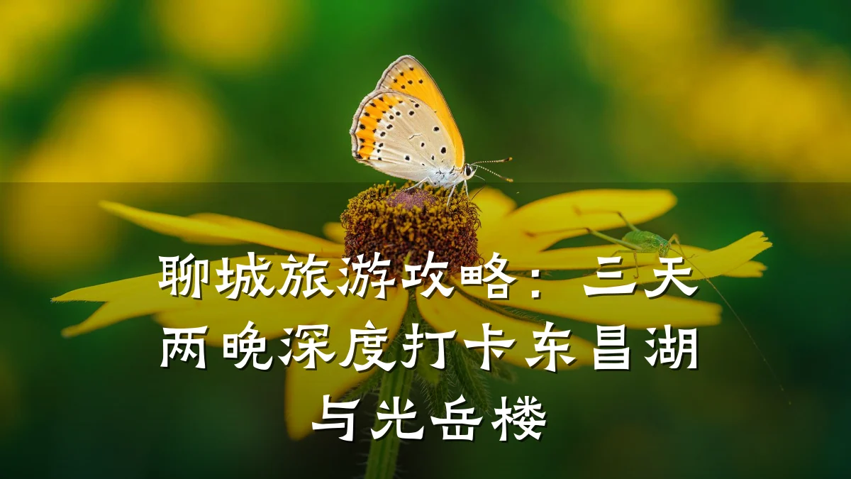 聊城旅游攻略：三天两晚深度打卡东昌湖与光岳楼