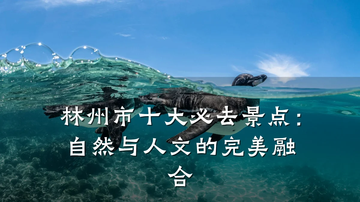 林州市十大必去景点:自然与人文的完美融合