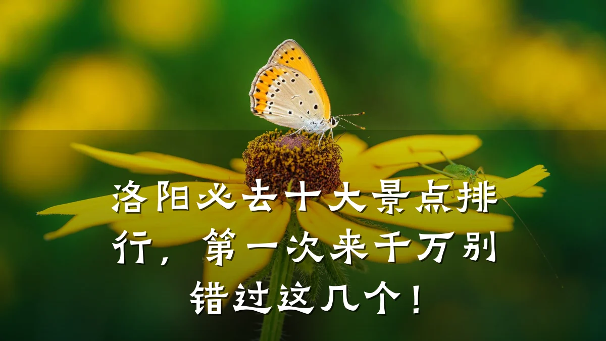 洛阳必去十大景点排行,第一次来千万别错过这几个!