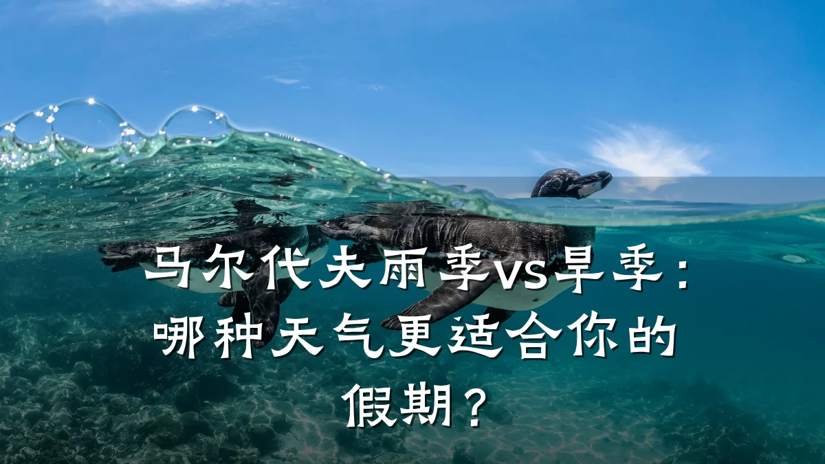 马尔代夫雨季vs旱季:哪种天气更适合你的假期?