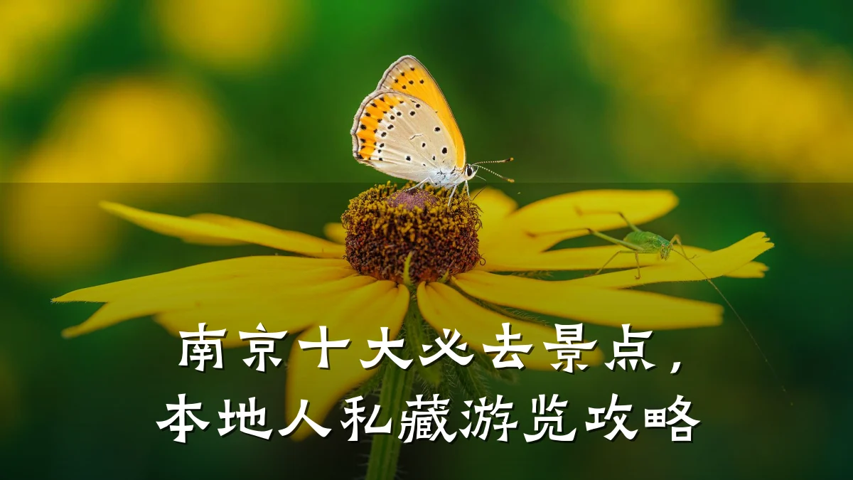 南京十大必去景点,本地人私藏游览攻略