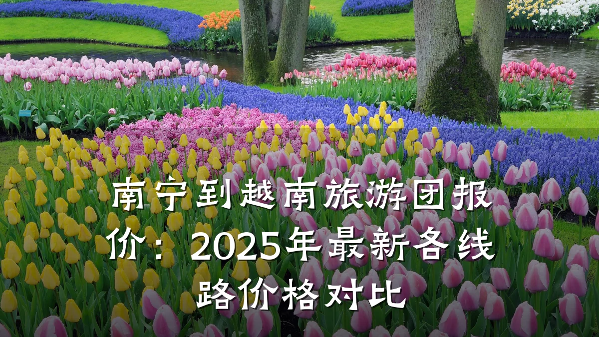南宁到越南旅游团报价：2025年最新各线路价格对比