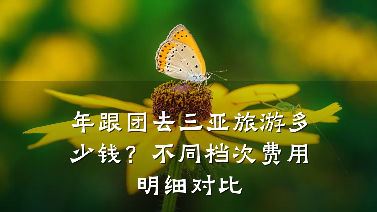 年跟团去三亚旅游多少钱?不同档次费用明细对比