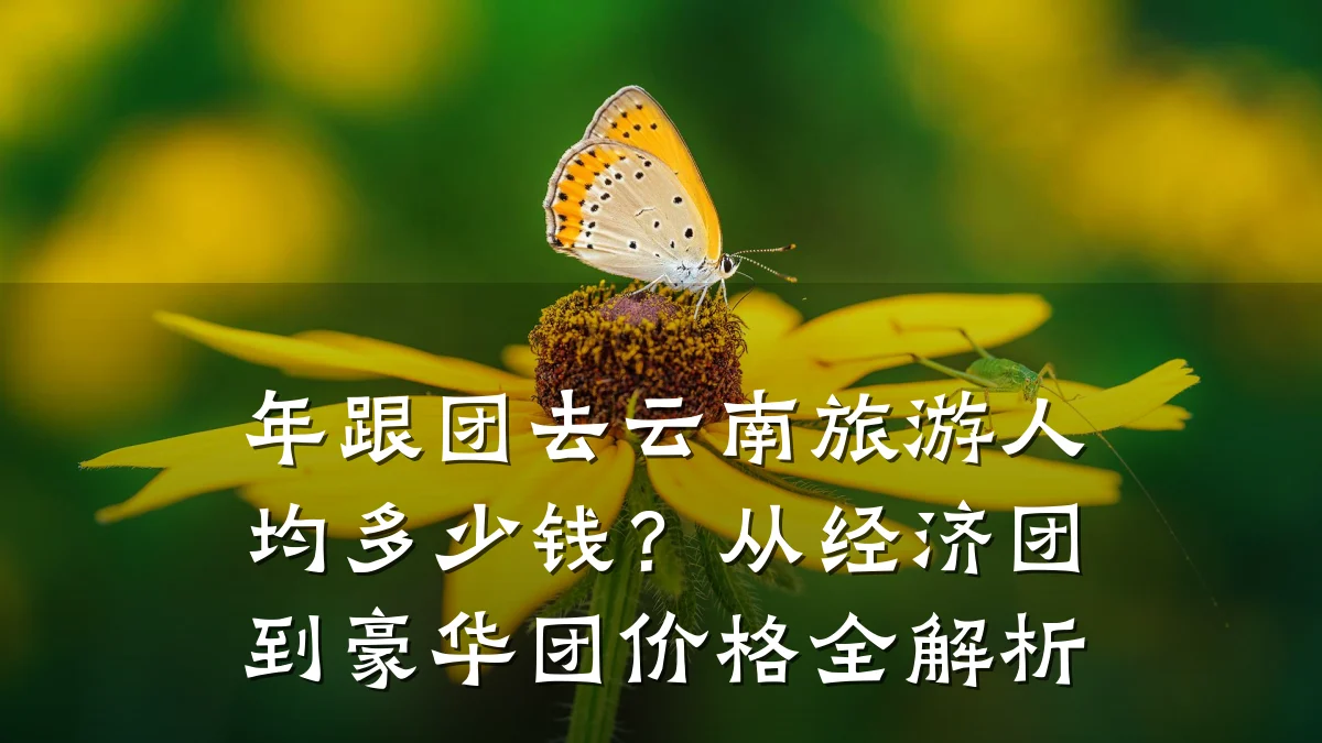 年跟团去云南旅游人均多少钱?从经济团到豪华团价格全解析