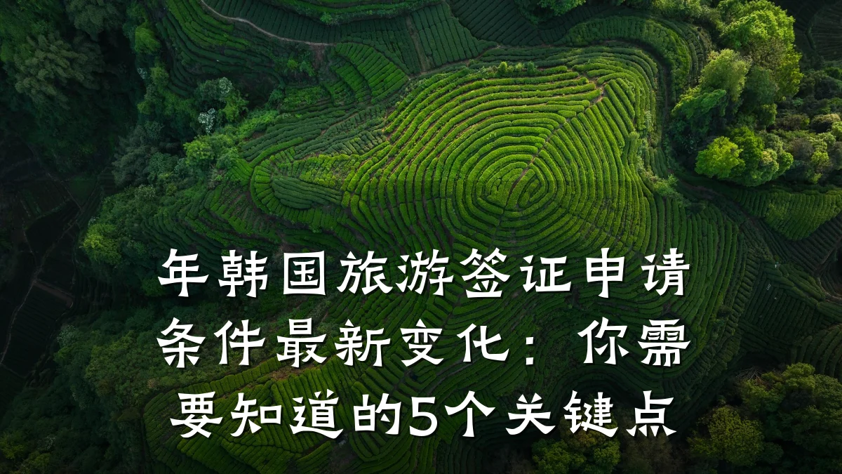 年韩国旅游签证申请条件最新变化:你需要知道的5个关键点