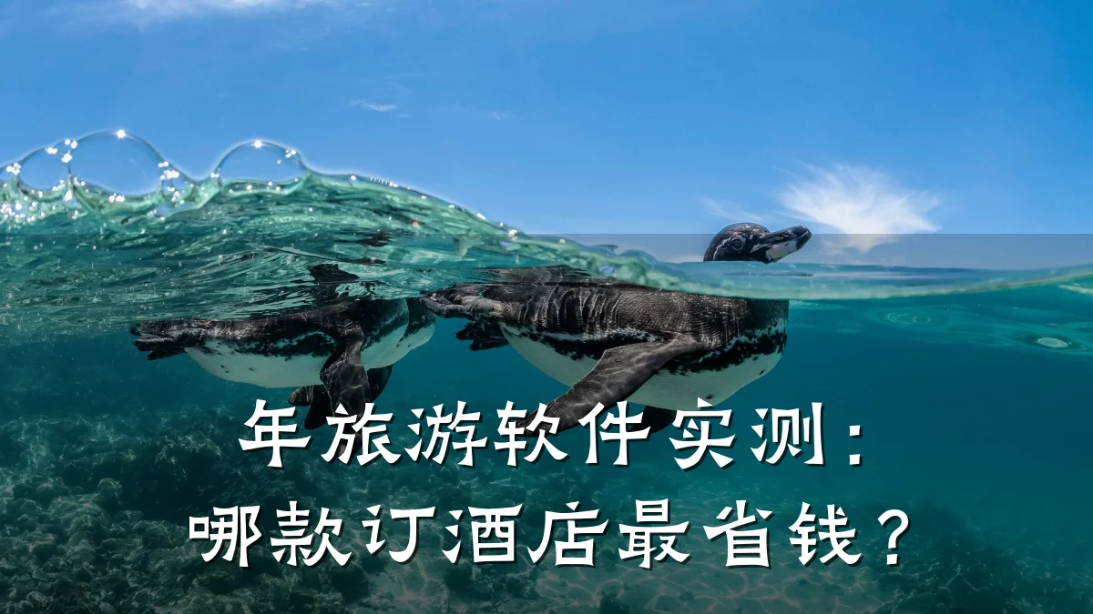年旅游软件实测:哪款订酒店最省钱?