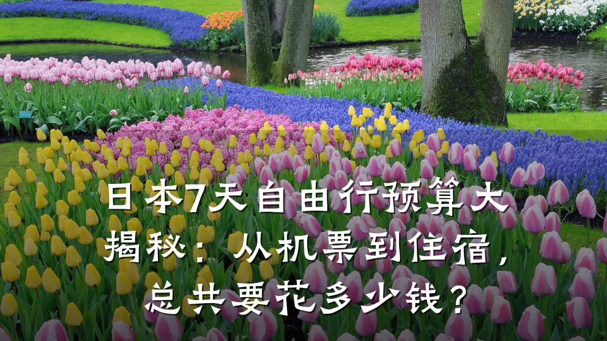 日本7天自由行预算大揭秘:从机票到住宿,总共要花多少钱?