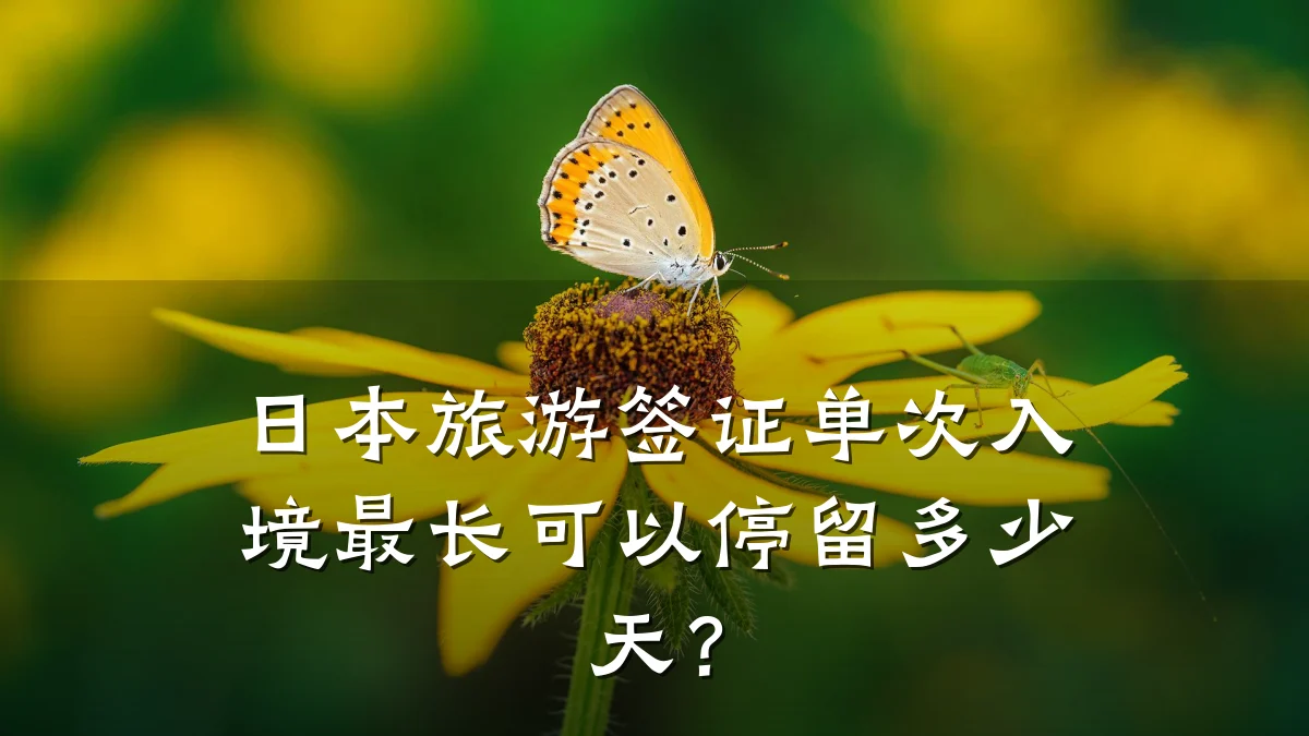日本旅游签证单次入境最长可以停留多少天?