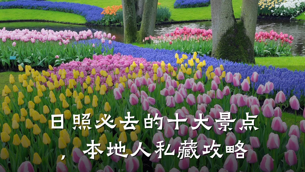 日照必去的十大景点,本地人私藏攻略