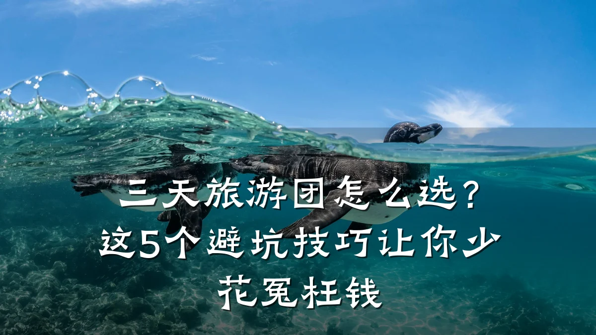 三天旅游团怎么选？这5个避坑技巧让你少花冤枉钱