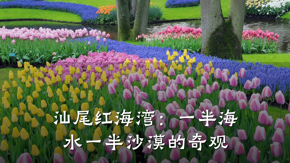 汕尾红海湾：一半海水一半沙漠的奇观