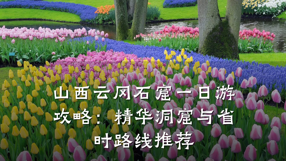 山西云冈石窟一日游攻略:精华洞窟与省时路线推荐
