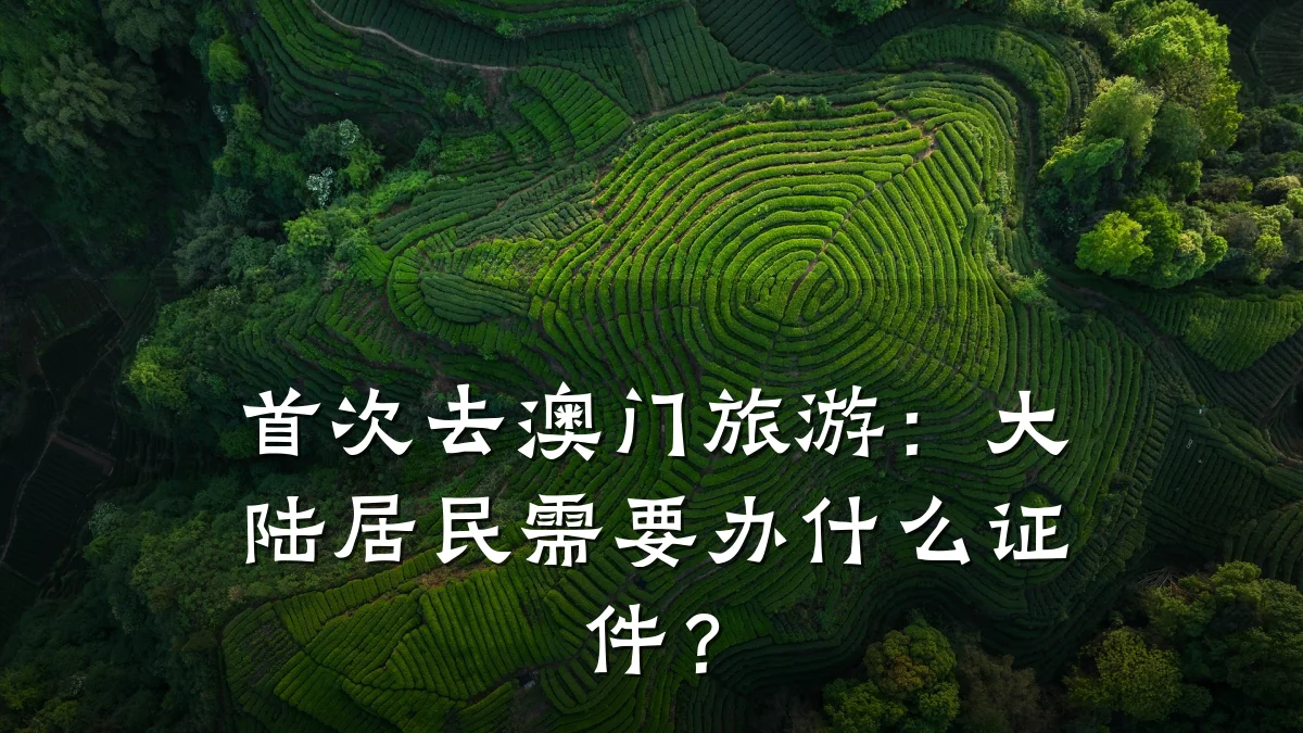 首次去澳门旅游:大陆居民需要办什么证件?