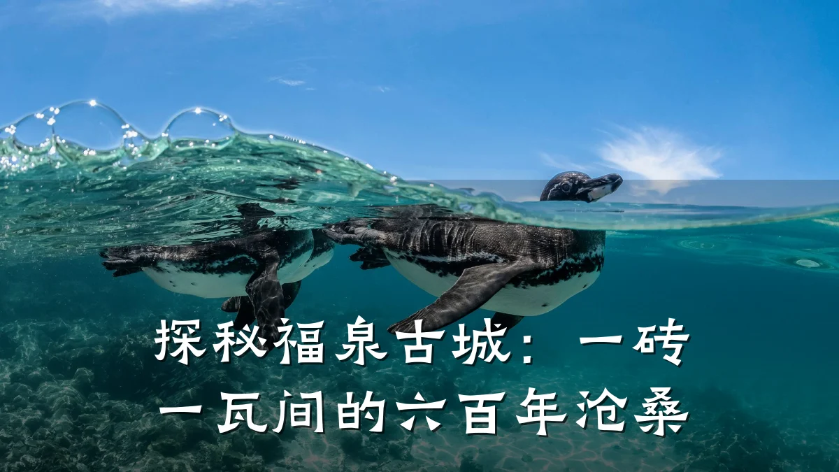 探秘福泉古城:一砖一瓦间的六百年沧桑