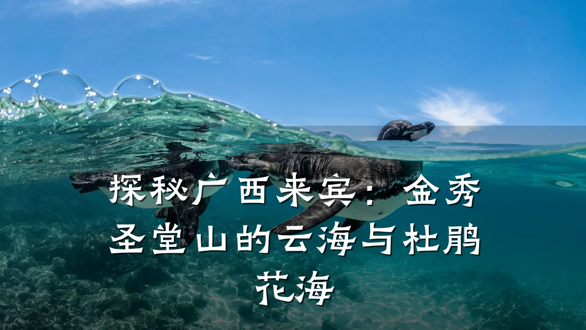 探秘广西来宾:金秀圣堂山的云海与杜鹃花海