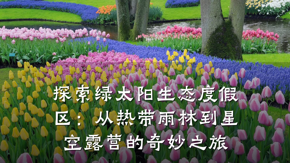 探索绿太阳生态度假区:从热带雨林到星空露营的奇妙之旅