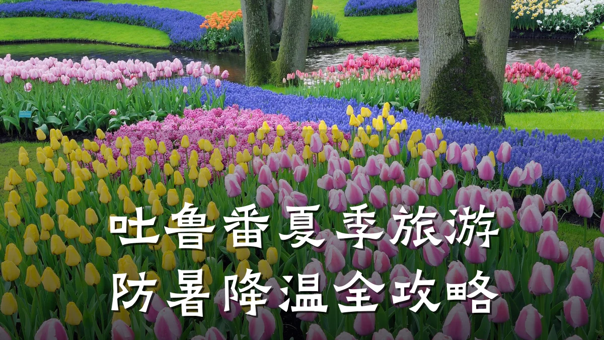 吐鲁番夏季旅游防暑降温全攻略