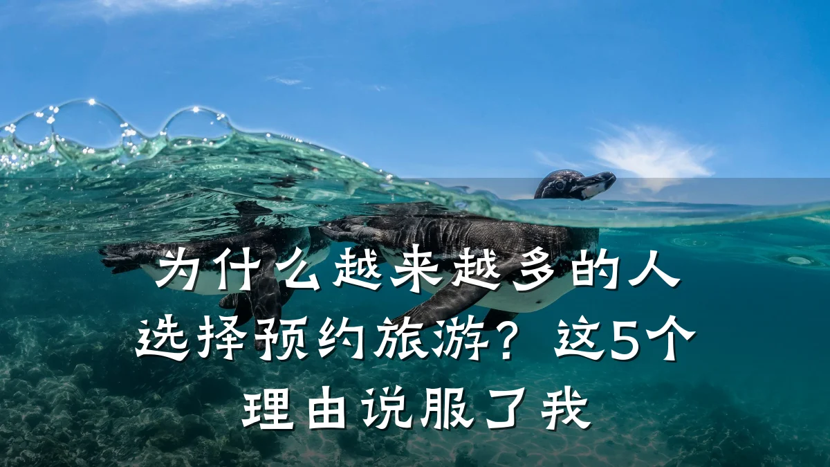为什么越来越多的人选择预约旅游?这5个理由说服了我