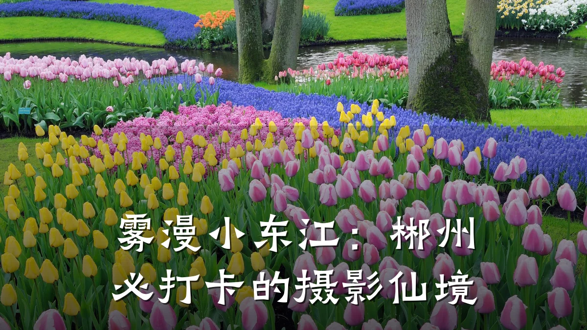 雾漫小东江:郴州必打卡的摄影仙境