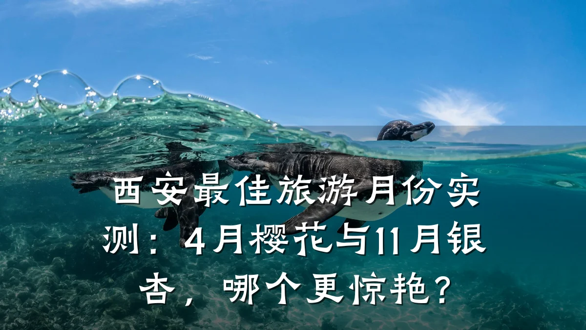 西安最佳旅游月份实测:4月樱花与11月银杏,哪个更惊艳?