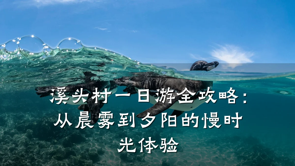 溪头村一日游全攻略:从晨雾到夕阳的慢时光体验