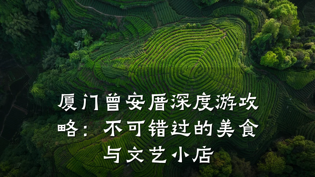 厦门曾安厝深度游攻略：不可错过的美食与文艺小店