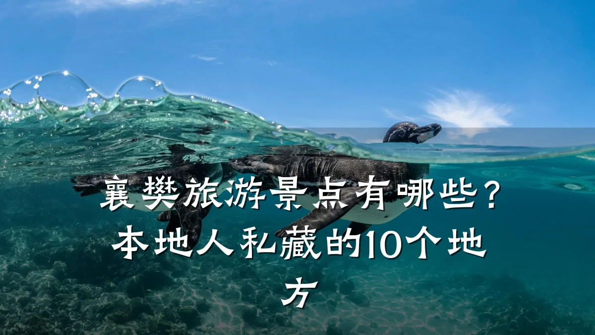 襄樊旅游景点有哪些？本地人私藏的10个地方