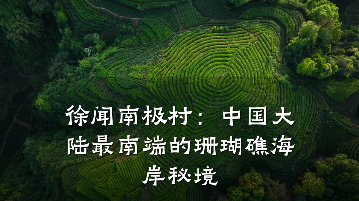 徐闻南极村:中国大陆最南端的珊瑚礁海岸秘境