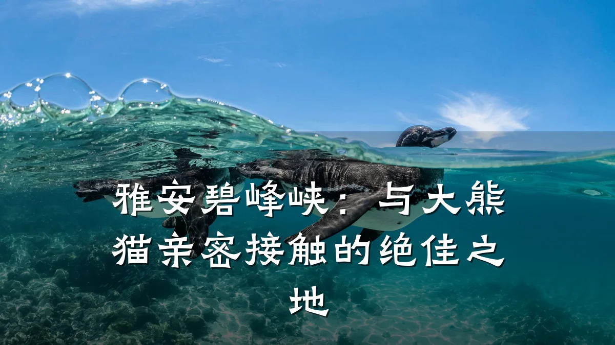 雅安碧峰峡:与大熊猫亲密接触的绝佳之地