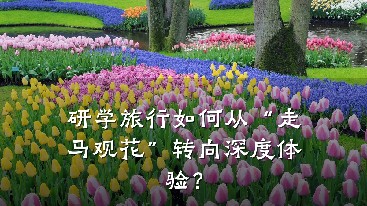 研学旅行如何从“走马观花”转向深度体验?