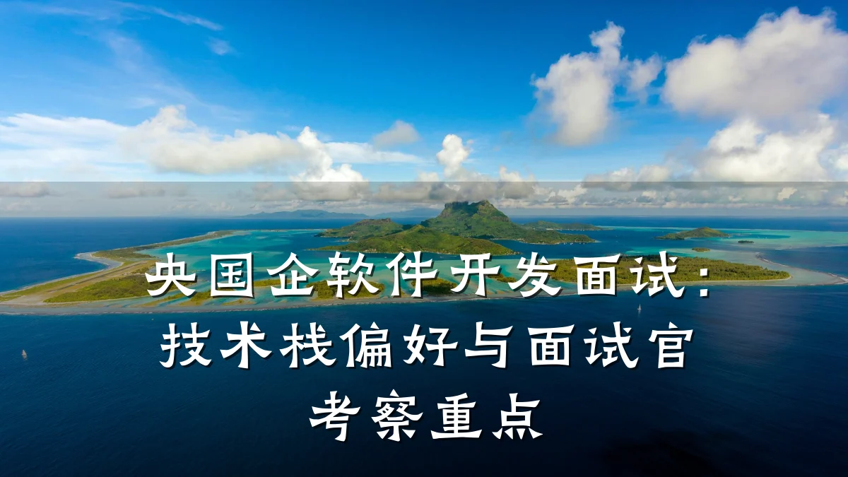 央国企软件开发面试:技术栈偏好与面试官考察重点