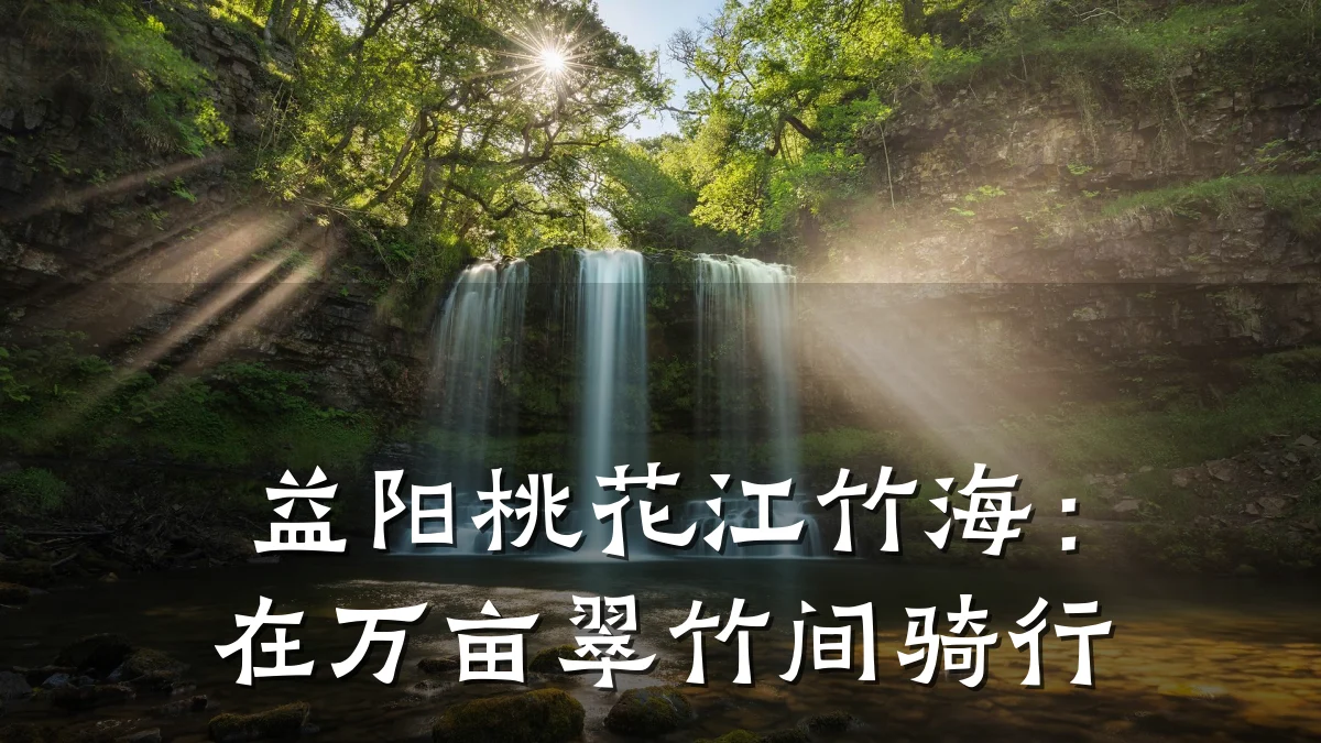 益阳桃花江竹海:在万亩翠竹间骑行