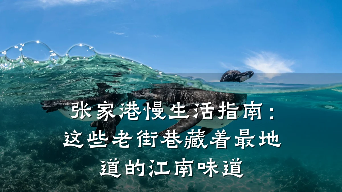 张家港慢生活指南:这些老街巷藏着最地道的江南味道