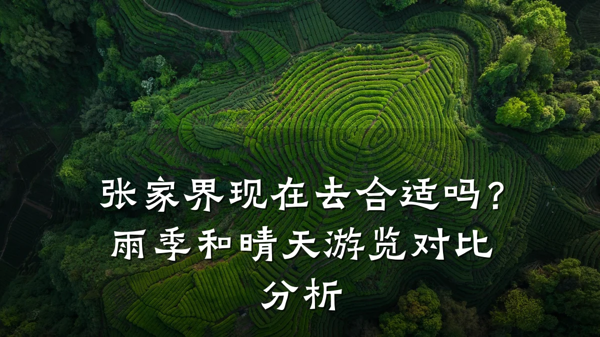 张家界现在去合适吗?雨季和晴天游览对比分析