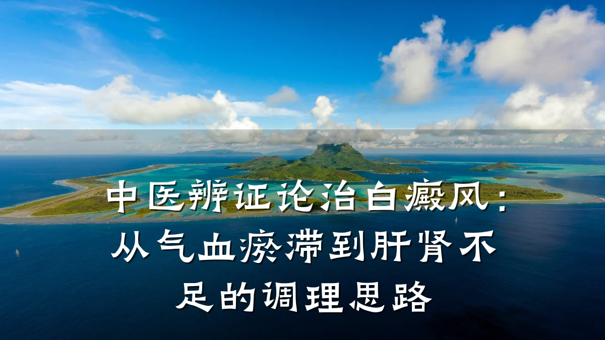 中医辨证论治白癜风:从气血瘀滞到肝肾不足的调理思路