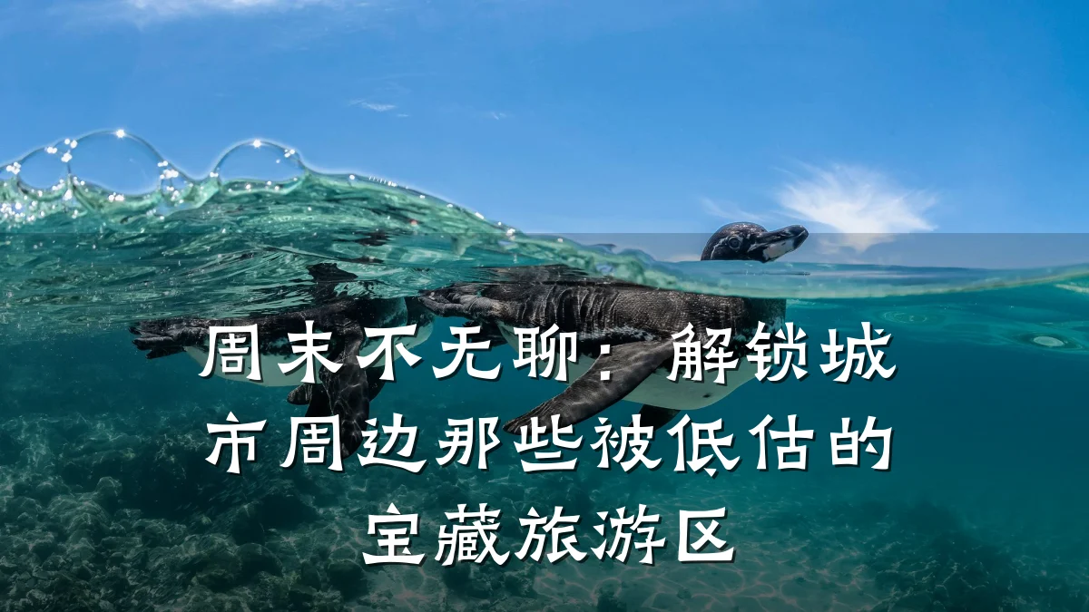周末不无聊:解锁城市周边那些被低估的宝藏旅游区