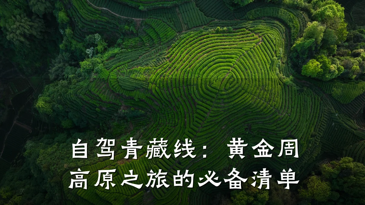 自驾青藏线：黄金周高原之旅的必备清单