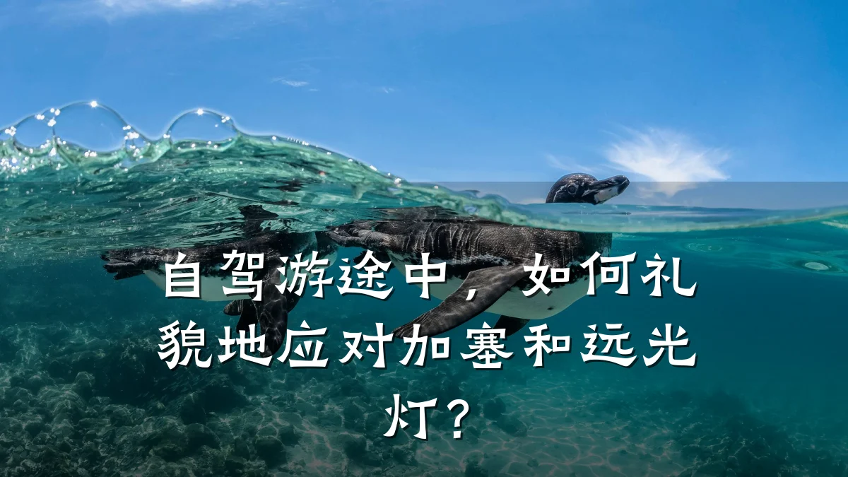 自驾游途中,如何礼貌地应对加塞和远光灯?