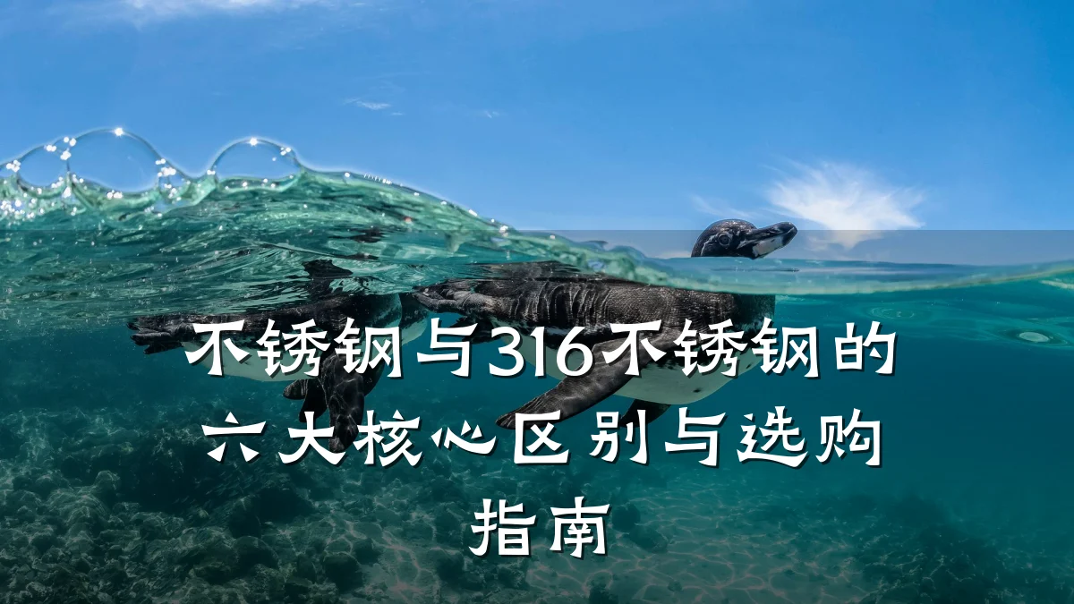 不锈钢与316不锈钢的六大核心区别与选购指南