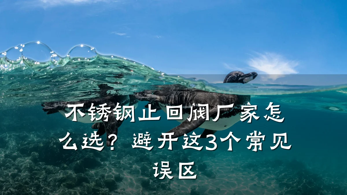 不锈钢止回阀厂家怎么选?避开这3个常见误区